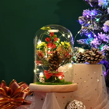 Kalėdų Eglutė Micro Kraštovaizdžio Puošmena Nemirtingas Gėlių Šviesos Stiklo danga Langą Kūrybos LED Kalėdų Papuošalai
