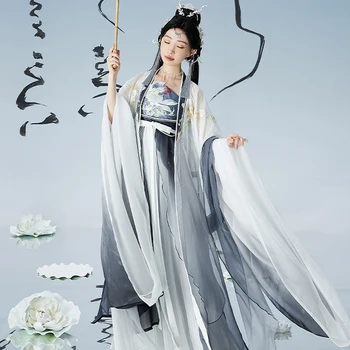 Moterų Hanfu Drabužius Tradicinę Kinų Senovės Moterų Kasdien Drabužius Tang Dinastijos Princesė Dress Didelis Rankovės Kostiumai DQL7273